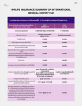 WRLife Summary of International medical cover